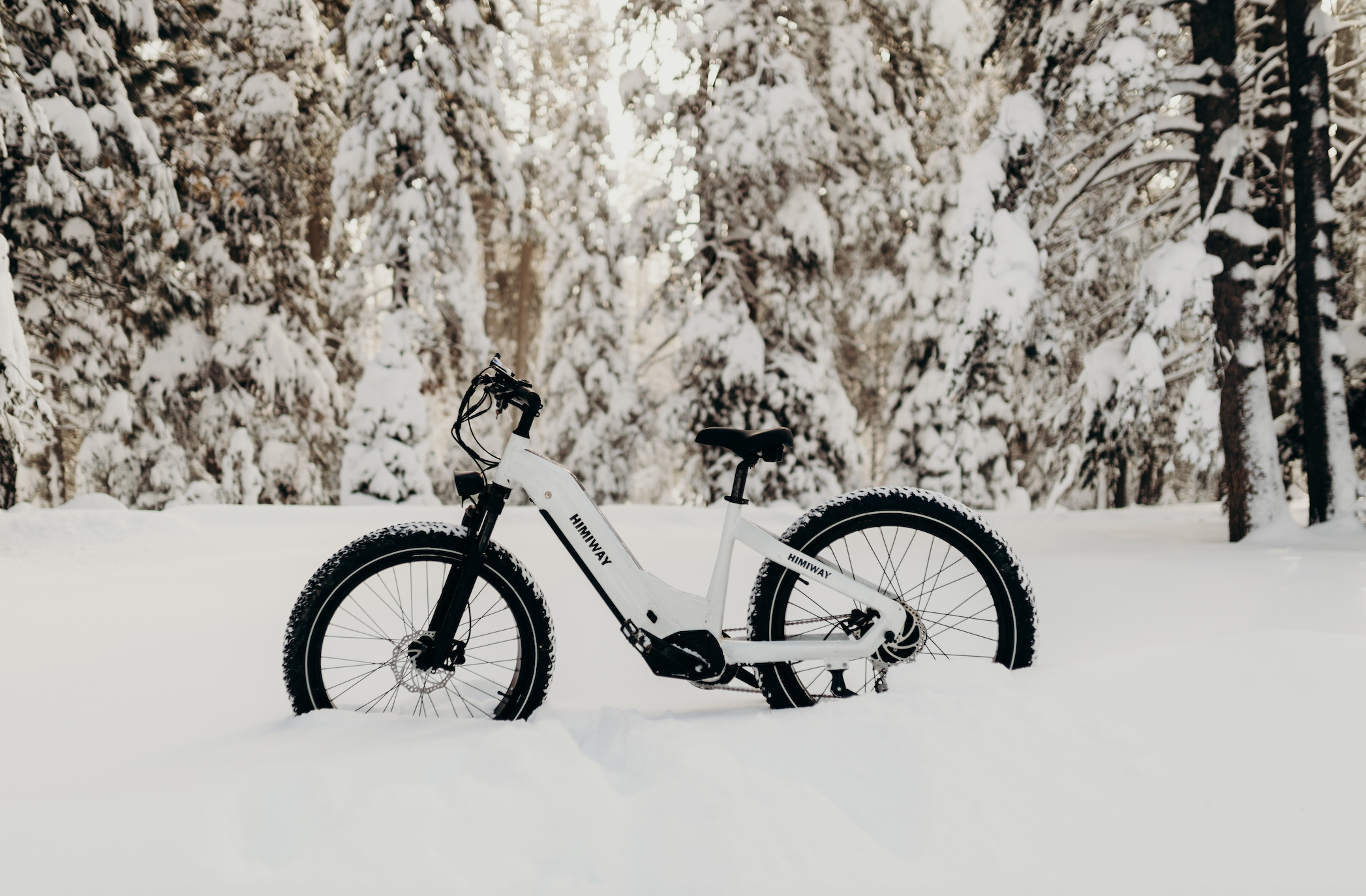 Winter Wonderland: Exploring Scenic Trails on Fat Bikes